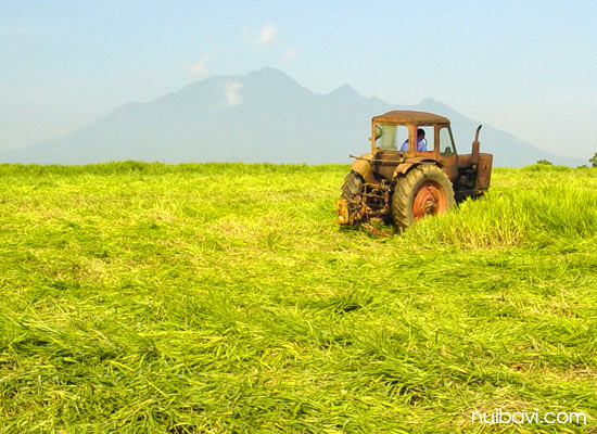 Du lịch Ba Vì mùa thu