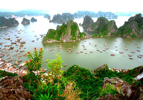 Du lịch trên du thuyền Hạ Long từ Hà Nội