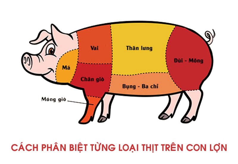 7 miếng thịt ngon nhất trên con lợn - Bạn đã biết để chọn mua chưa?