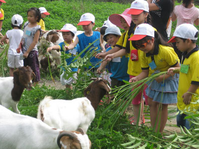 Đến với trang trại Đồng quê Ba Vì