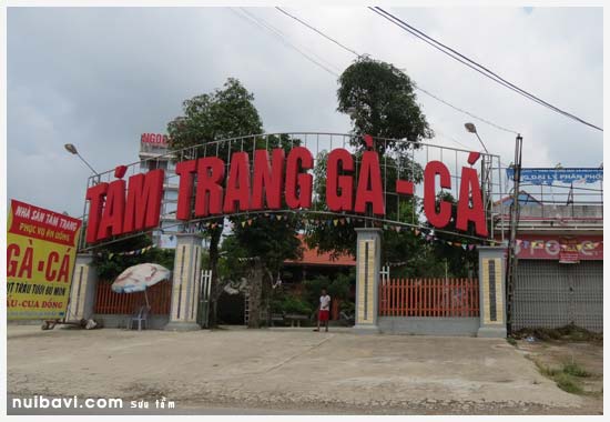 Nhà hàng Tám Trang Gà Cá