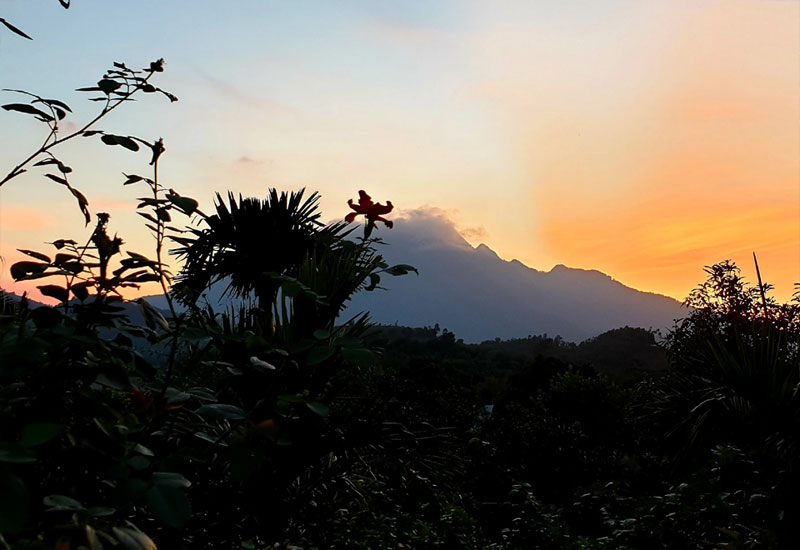 Bài Thơ HOÀNG HÔN RƠI Tác giả Dương Hoàng