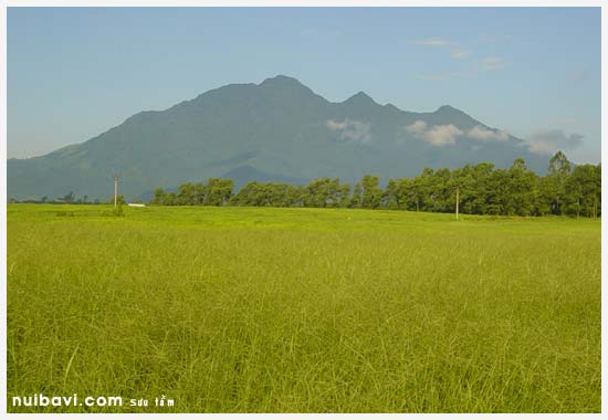 Đồng cỏ Ba Vì