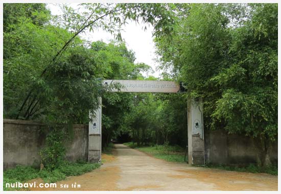 cổng rừng cò